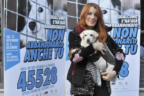 Brambilla salva i cani abbandonati: "Scrivi il lieto fine di una storia triste"