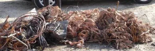 Telefoni interrotti dai ladri di rame. Ma le bollette arrivano lo stesso