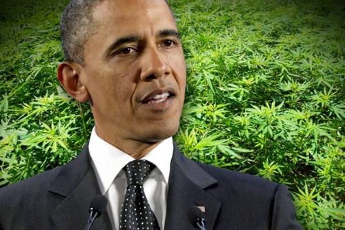 Obama: "La marijuana va trattata come sigarette e alcool"