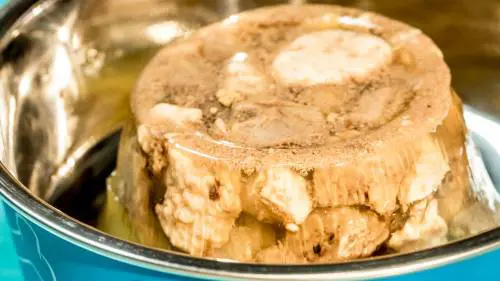 Rischio salmonella nel cibo per cani: ritirato "Country Hunter" della Natures Menu