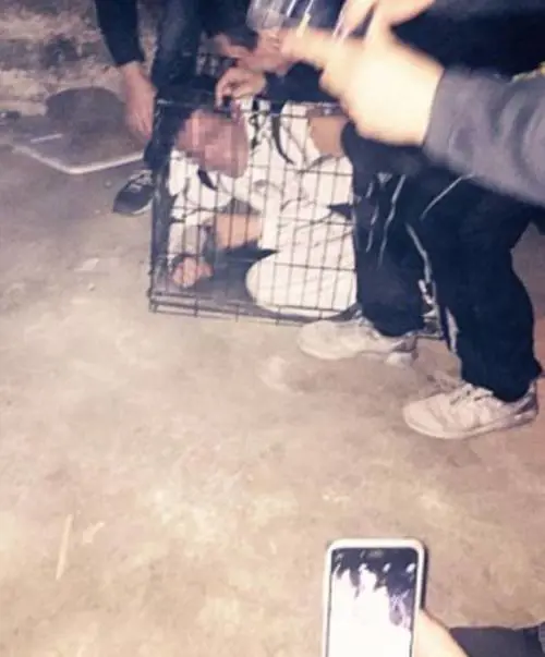 I riti delle confraternite americane: notti in gabbia e vomito addosso