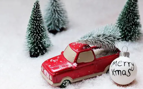 Come trasportare l'albero di Natale evitando le multe e in sicurezza