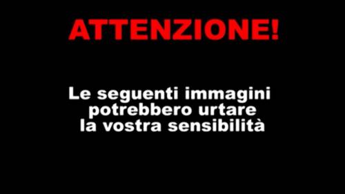 La foto choc della donna arsa viva a Foggia