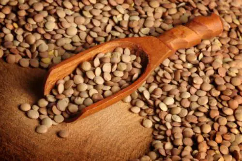 Da Norcia all’Aquila, la spesa gourmet si fa on line