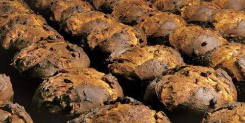 I vegani attaccano il panettone: "Complice dello sfruttamento degli animali"