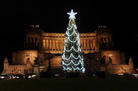 La Raggi fa addobbare il contestato albero di Natale