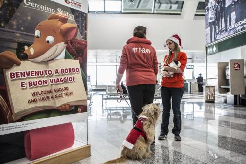 Ansia da volo? No grazie, la Pet Therapy arriva a Malpensa e Linate