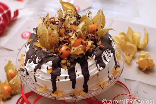 Pavlova con alchechengi e scorza di arancia candita
