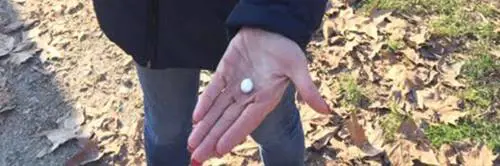 Così il centro di Ferrara è diventato una casbah