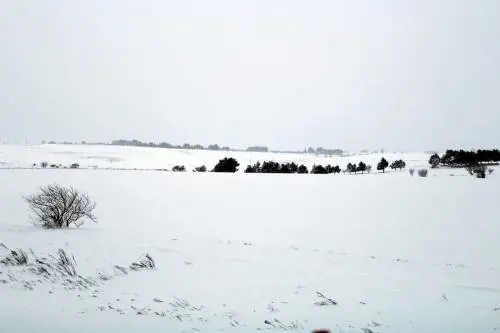L'appello dell'allevatore: "In Puglia siamo completamente isolati per la neve"