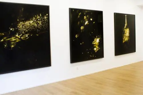 A Lugano i ritratti della natura di Melik Ohanian