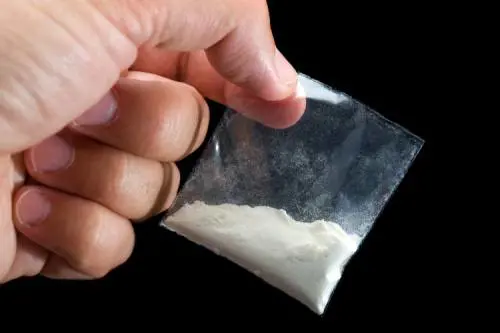 Insospettabile casalinga era lady cocaina, arrestata