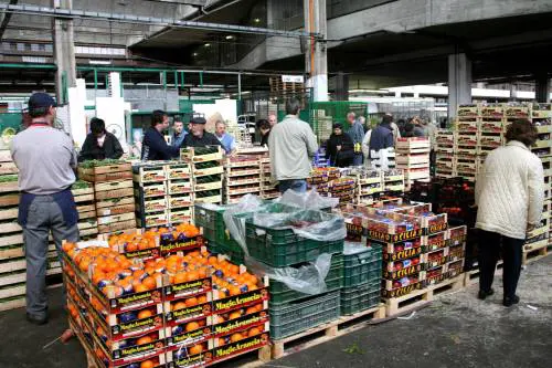 Grossisti all'attacco sul nuovo Ortomercato: "Ritardi e carenze, così noi non ci stiamo"