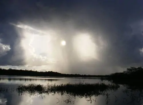 La guerra contro l'Amazzonia