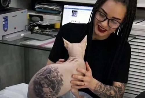 Tatua il suo gatto con disegni gangster: è polemica con gli animalisti
