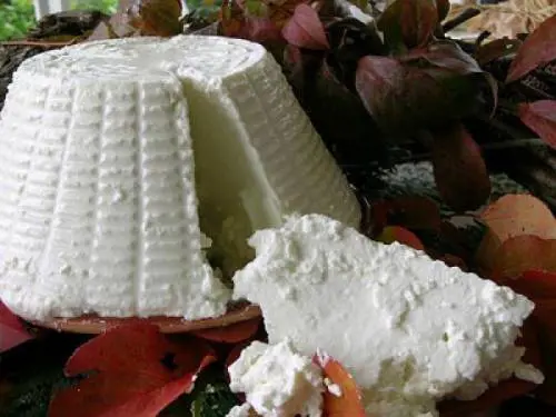 Distribuiscono ricotta contaminata. Ma vengono assolti tutti
