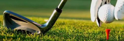 Grasso: "L'emendamento sulla Ryder Cup è inammissibile"