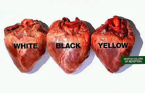 Oliviero Toscani, in mostra 50 anni di provocazioni