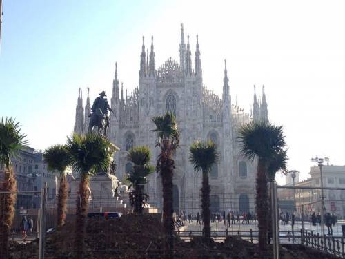 In Duomo arrivano i banani. Sala: "Certo che Milano osa"