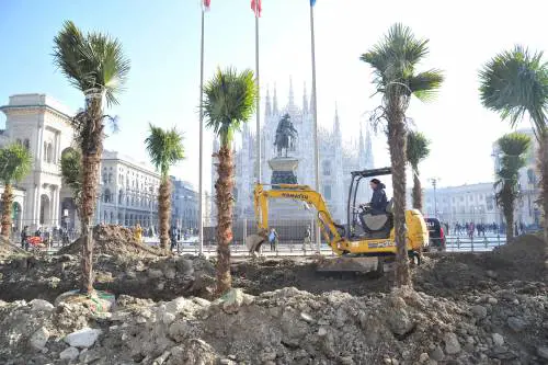 "Le palme in piazza Duomo? Coi cammelli sembra Africa"