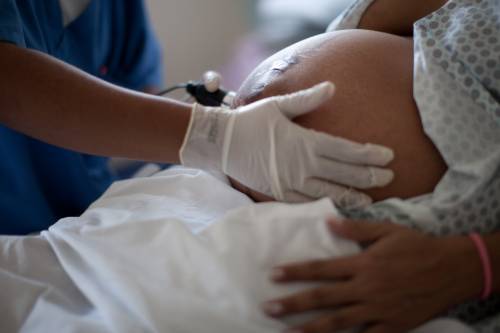 La sociologa pro Lgbt  contro l'utero in affitto "Si cancellano le madri"