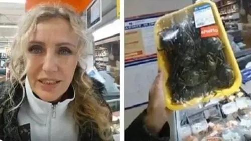 Licia Colò libera i granchi in mare. "Così favorisce l’invasione biologica"