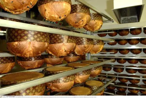Da 27 anni guida Balocco: "Ma non so fare i dolci. Ora divento pasticcere"