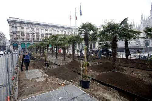 In Duomo dopo le palme spuntano i banani. E il sindaco Sala vuole più profughi in città