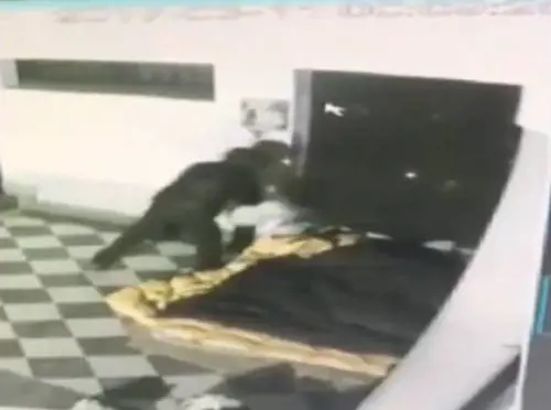 Palermo, bruciato vivo un clochard
