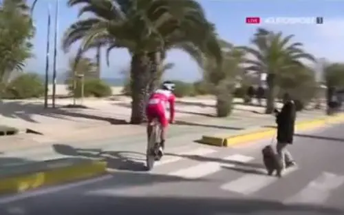 Solo una signora col cane regala qualche brivido