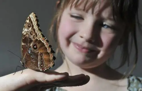 La fragilità e la forza dei “Bambini Farfalla"