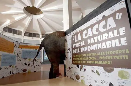 Si scarta, si copre, si nasconde eppure non c'è nulla  di più vitale della... cacca