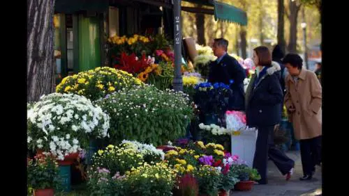 Ecco perché a Roma i fiorai italiani sono aperti tutta la notte