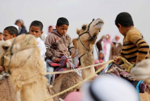 Egitto, bimbi a dorso di cammello si danno battaglia