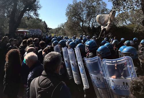 La rivolta della Puglia contro il gasdotto. Sit-in e blocchi in difesa di 211 ulivi: cariche della polizia