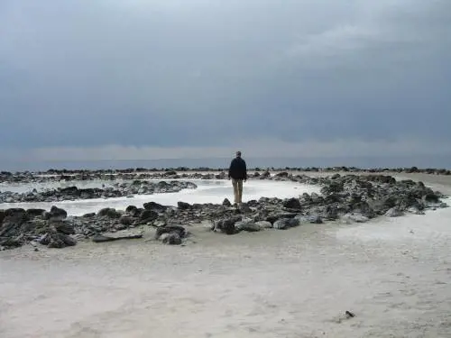 "Leggerezza e umorismo sono il lasciapassare per l'autentica serietà"