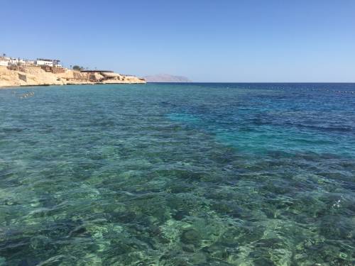 Reagire alla paura del terrorismo rilassandosi sulle spiagge di Sharm