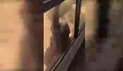 Cameriera scivola dal settimo piano e chiede aiuto: la sua datrice di lavoro continua a filmare senza afferrarla