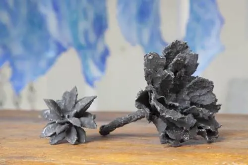 "Botanik", viaggio vegetale all'Isola tra le sculture floreali cristallizzate