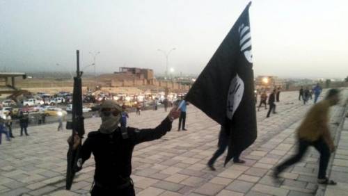 Iraq, tre miliziani di Isis uccisi da un branco di cinghiali selvatici