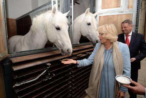 Camilla alla Scuola di equitazione spagnola di Vienna