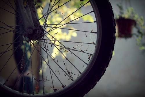 incidente in bicicletta muore turista italiano di 20 anni