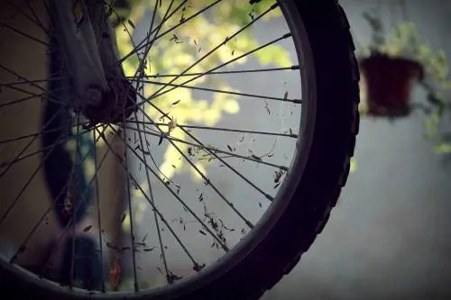 Morto un 20enne italiano caduto dalla bici in Islanda
