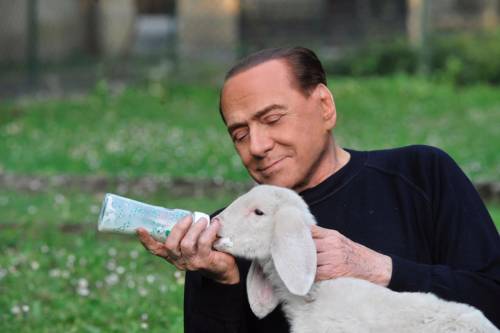 L'agnello del Cavaliere scuote la Pasqua