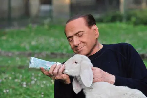 L'agnello del Cavaliere scuote la Pasqua