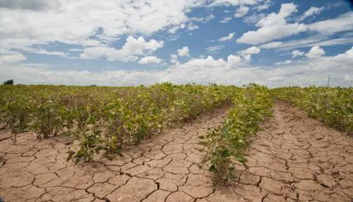 "Il clima cambia ogni 800 anni Nel Medioevo tre gradi in più di oggi"