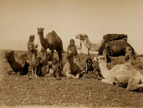 Avventura nell'Arabia felice (pronta a diventare infelice)