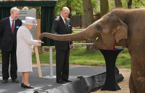 La Regina Elisabetta va allo zoo a vedere gli elefanti