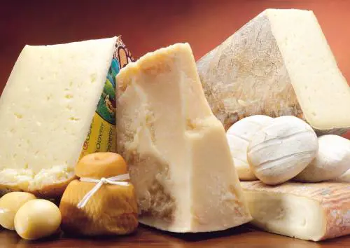 Cibo, paesaggio e cultura Il tris che seduce cento milioni di persone