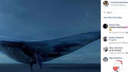 Blue whale, la denuncia dei deputati: "Allarme anche in Svizzera"